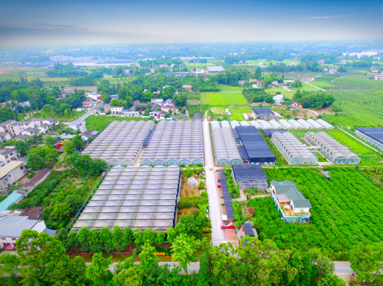 7dcf170a3a2f93bc888bb07ee9dbd58b_69b01b178632f8d_r=1751875487